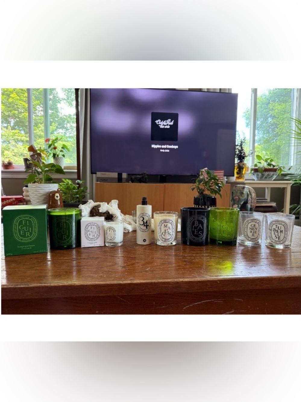 Bundle/Lot 2 New Diptyque Green figuier 10.2oz & white 2.4 Candles plus more